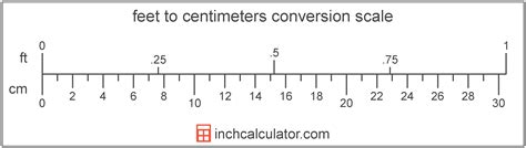 8尺 to cm|Feet to Centimeters (ft to cm)